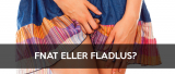 Fnat eller Fladlus